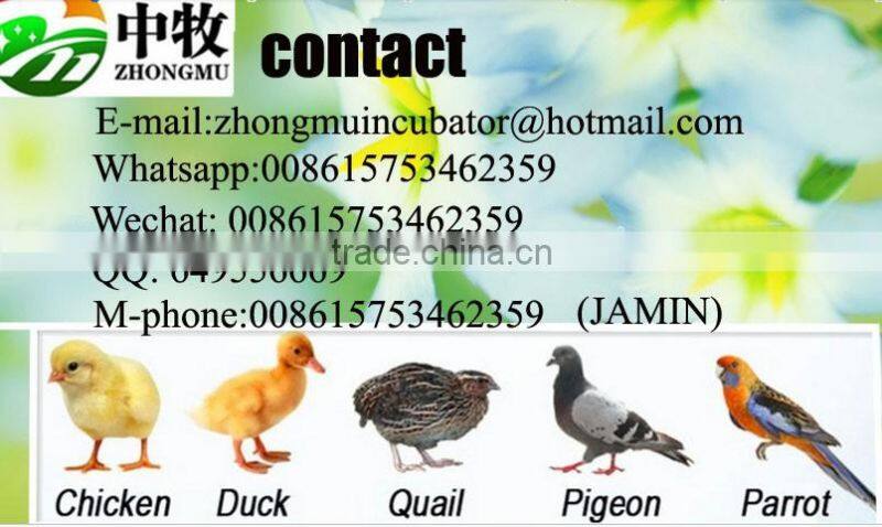 factory supply commercial quail incubator/quail egg incubator with CE/8000 chicken egg incubator