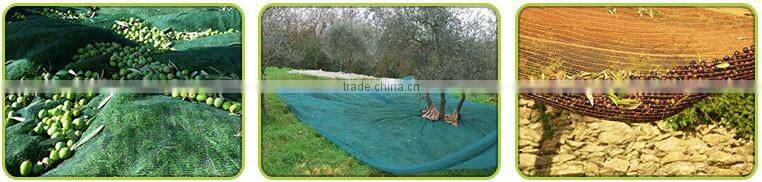 Excellet Quality Cheap High Quality Pe Olive Net for Sale