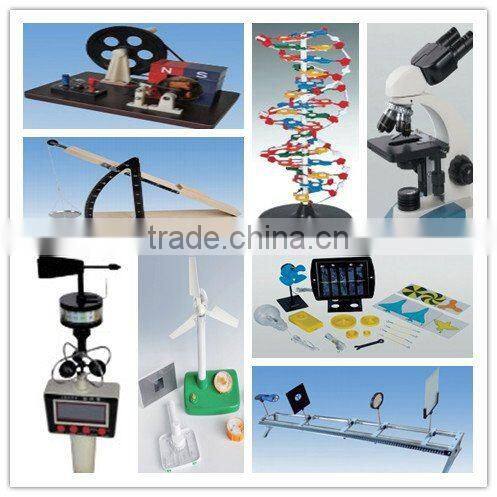 DNA Model Protein structure Model Educational equipment