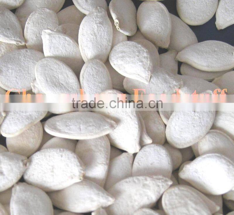 sell roasted and salted pumpkin seeds 11cm,12cm,13cm
