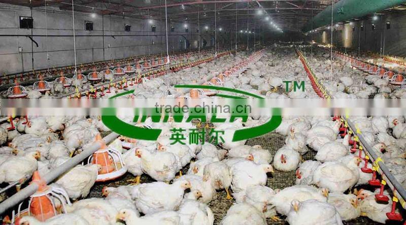 Factory Direct Sales Automatic Chicken Feeding System