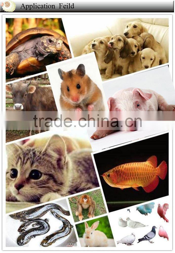 Pig Ear Tag Sheep Goat Hog Cattle Cow Smart Ear Tag for Animal Management