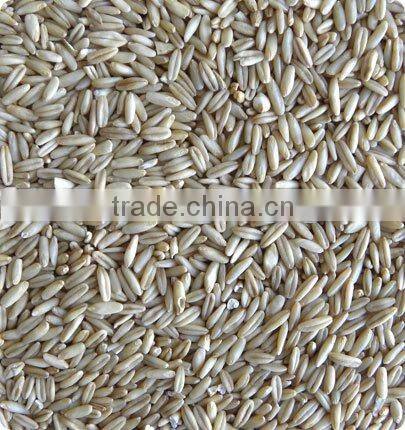 Jiexun Multifunction Wheat Color Sorter Machine