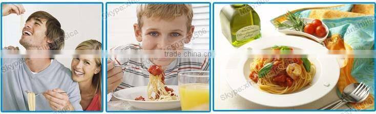 Household small manual noodle making machine