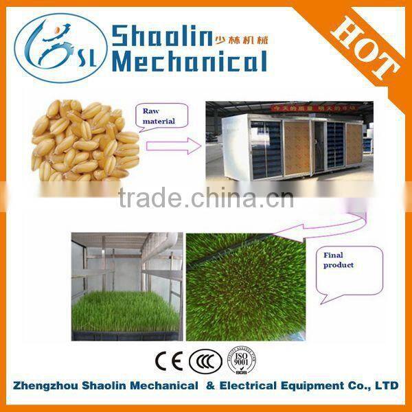 Lowest price automated bean sprouts machine with best service