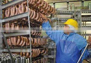 China New Design Salt Brine Injector ZSI-140