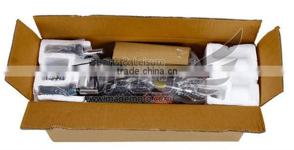 Electric Scooter Electric scooter Europe