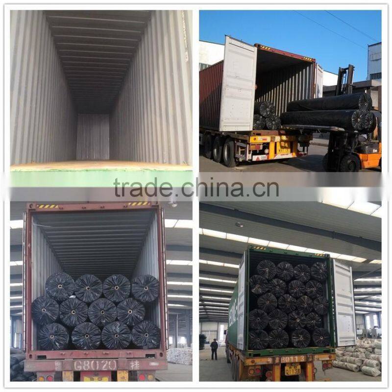 Agricultural water conservancy projects LDPE geomembrane