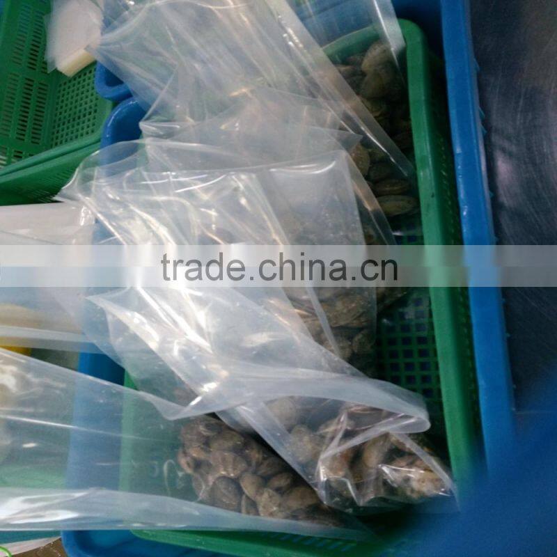 NEW SEASON FROZEN SHORT NECKED CLAM