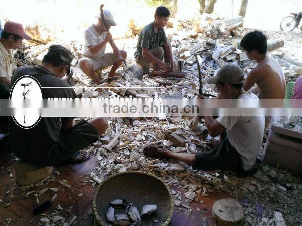 Special Fragrance from high quality Agarwood Chips/ Oud chips/ Gahura Chipa in Vietnam