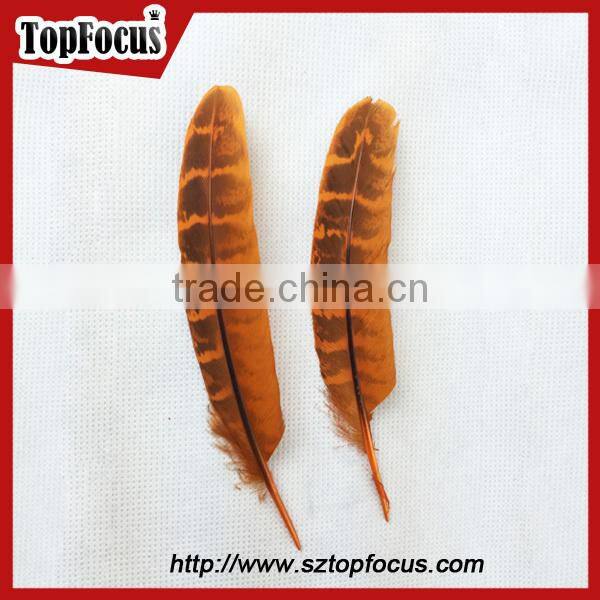 reeves cheap Natural Pheasant Tail Pheasant Feather for sale