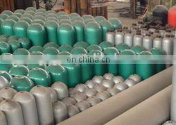 Stainless Steel Accumulator for chemical pump