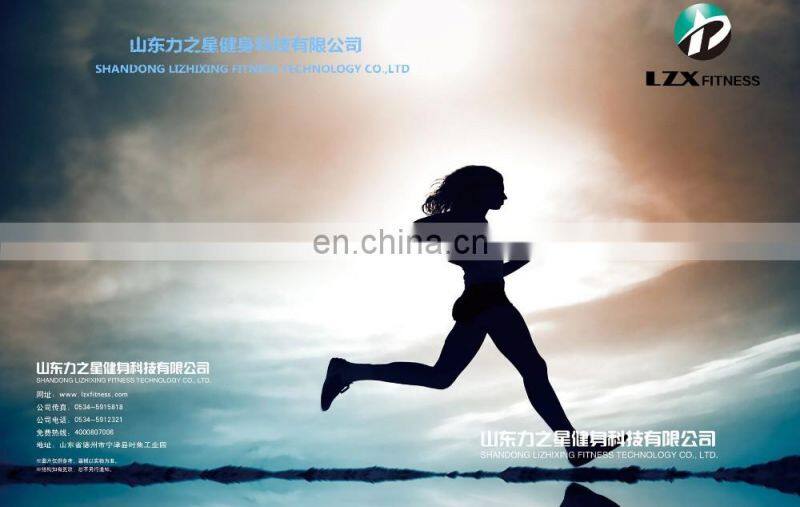 LZX-1051 Classic AB Bench/Commercial Fitness/Gym Equipment