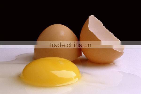 KH Welcome OEM High Quality Custom Egg Cracker
