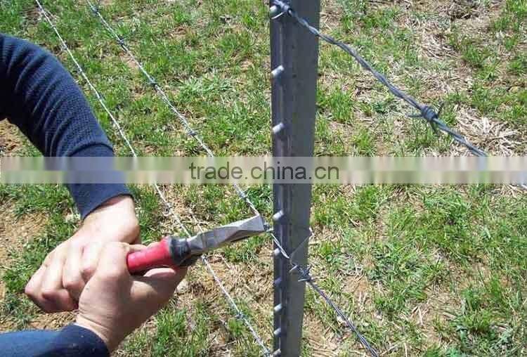 Green paint steel studded t post for USA market
