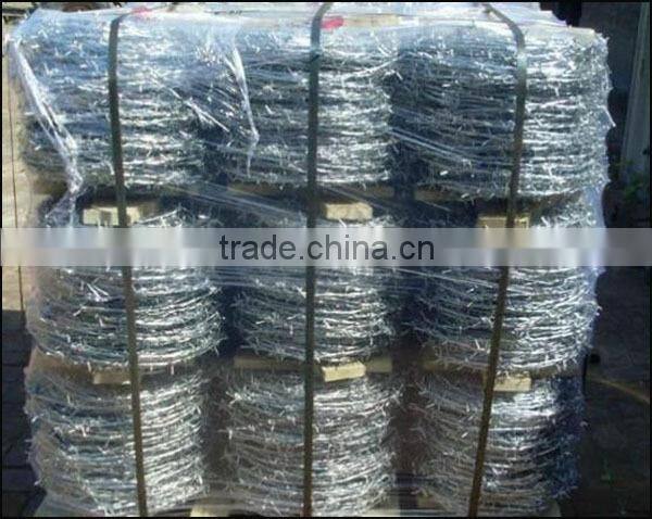 galvanized barbed wire