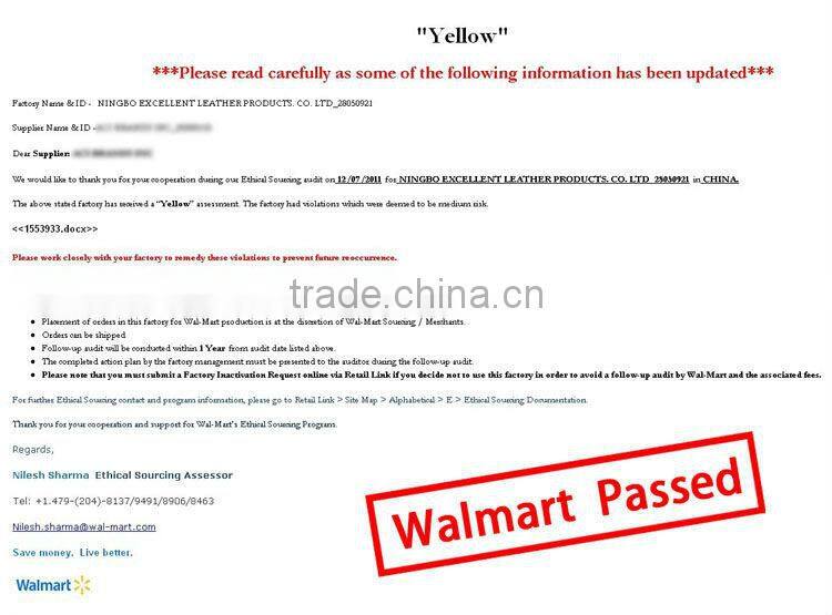 Cooler tote bag/Hot and cold cooler bag/Ice cooler bag