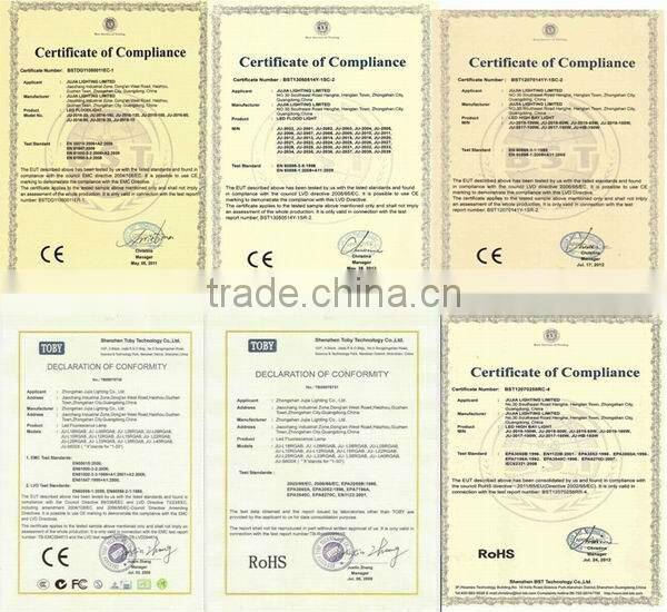 CE RoHS 50W led flood light bridgelux IP65 outdoor Cheap led floodlight