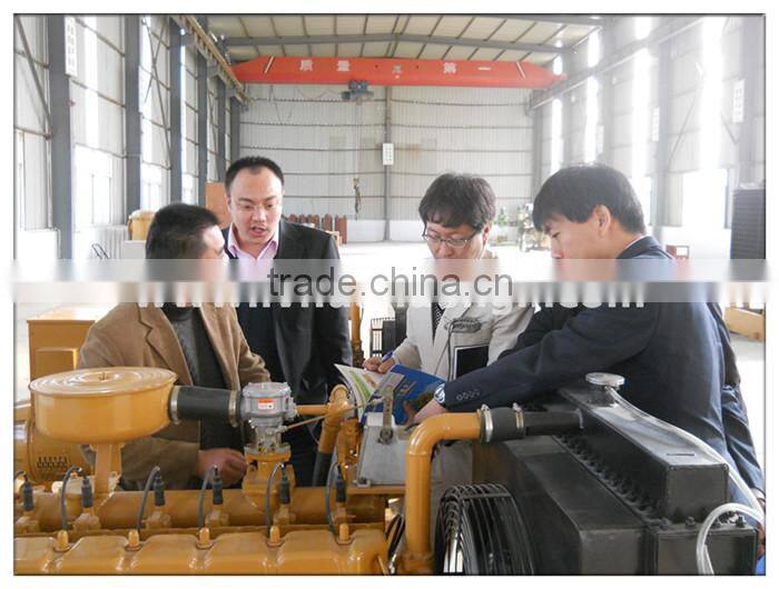 Turnkey project CE ISO High Efficient 10 - 50 kw small biogas plant