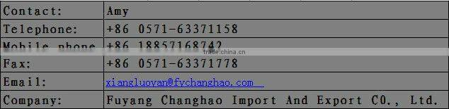 Men's Fashionable Cork Slipper