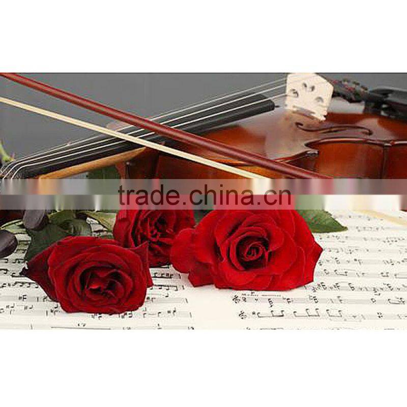 1/2 Arbor Violin Bow Fiddle Bow Horsehair Exquisite
