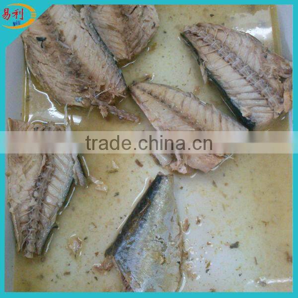 Bulk canned mackerel in oil with price