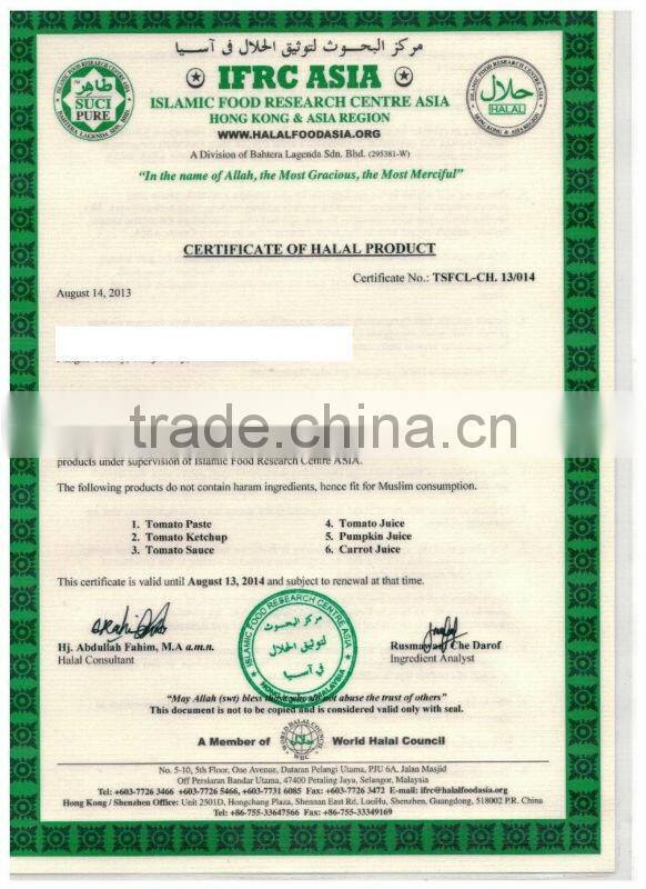 oem brand super seasoning food flavor fresh tomato paste ketchup