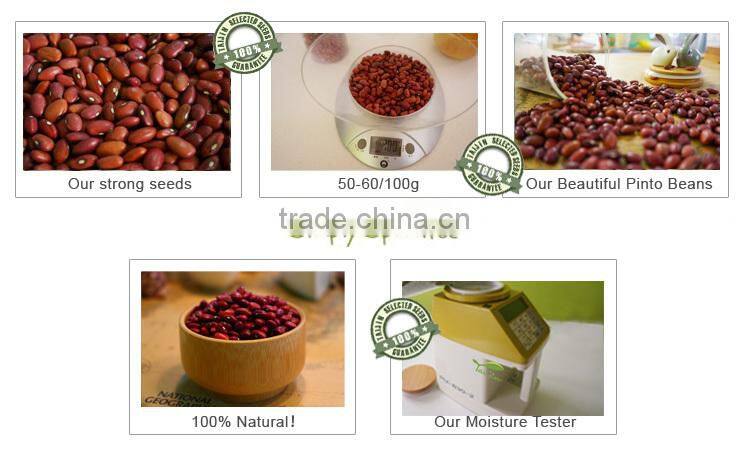 2015 Good Quality Dark Red Kidney Beans For Canning