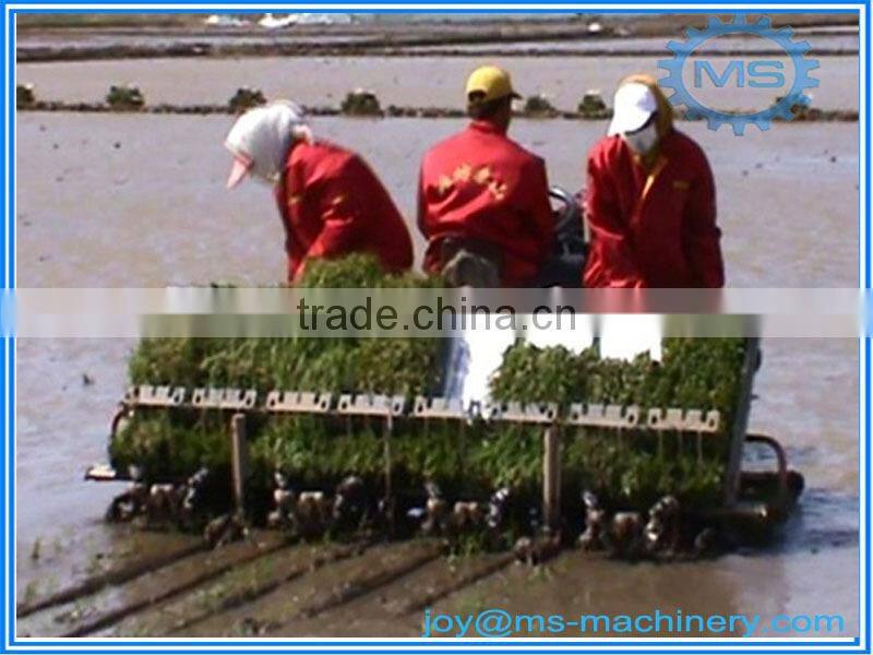 China supply high efficiency rice transplanter price