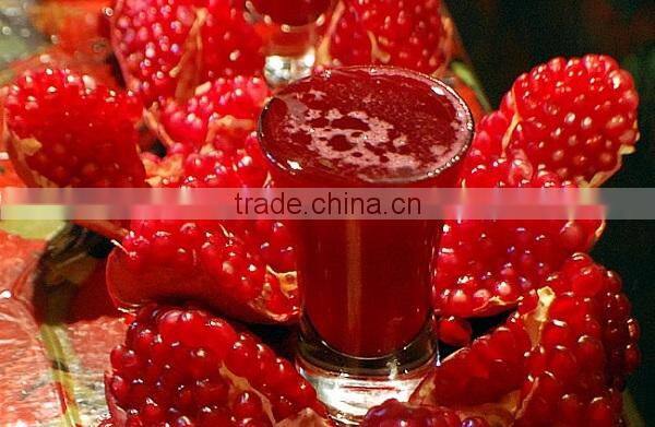 cold press juicer machine,slow juicer