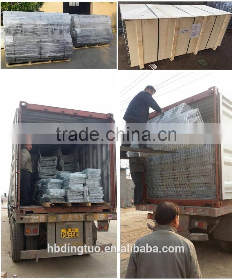 TA $242,000 hot sale Kenya automatic chicken battery layer cage and equipment for Nairobi poultry farm with hen house design