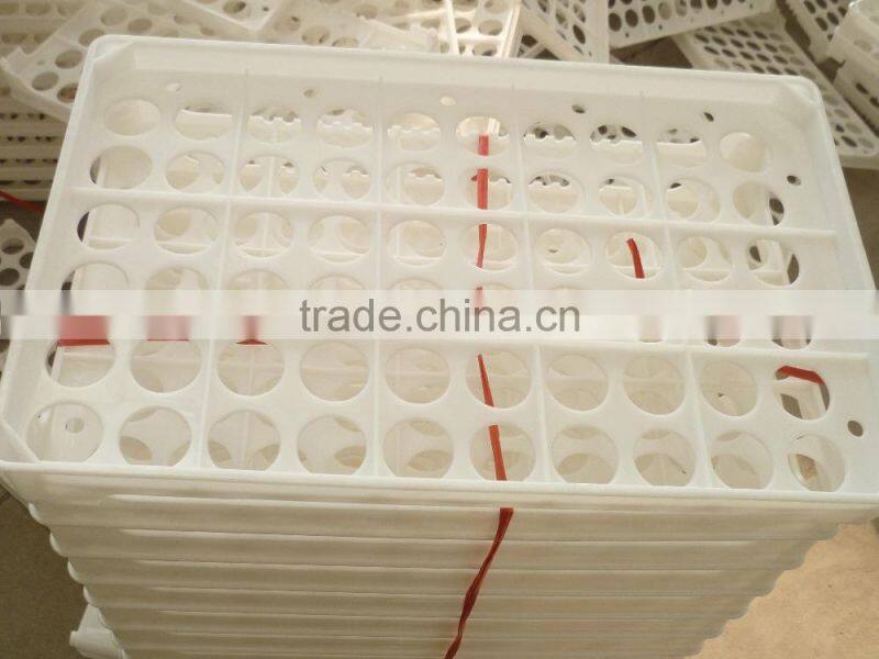 hatching eggs plastic egg tray