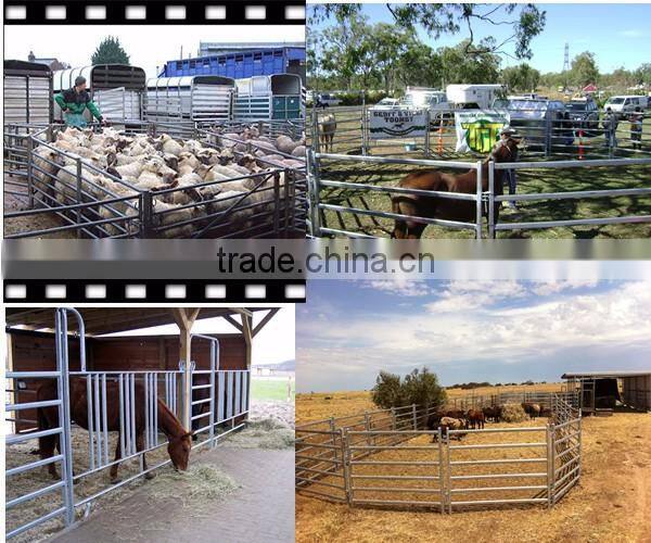 Hot Dipped Galvanized Cattle Yard Steel Panels For Cattle Fence System