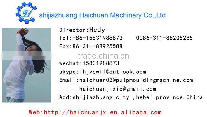 haichuan making machine egg tray cartons egg tray machine production line small machine making egg tray