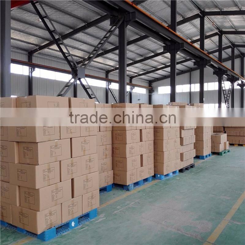 Marine Plastic blade SUP/Canoe/Kayak paddle