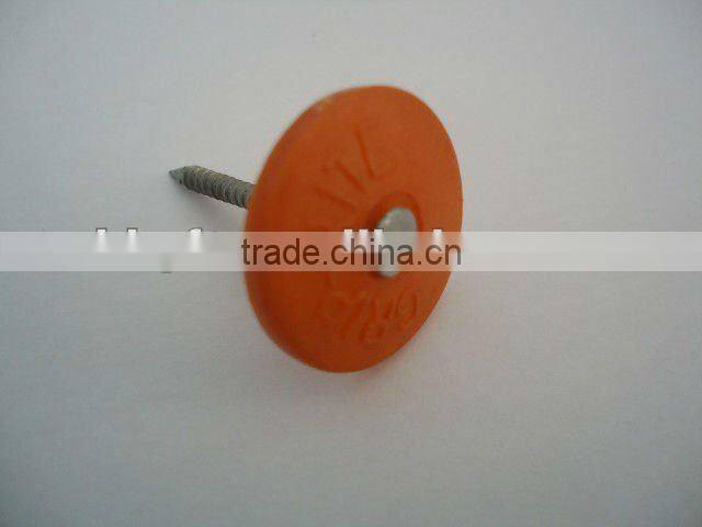 Torx Roofing Screw Nails with Plastic Caps china supplier on hot sale