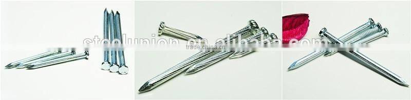 galvanized concrete steel nail/concrete nails/steel nail