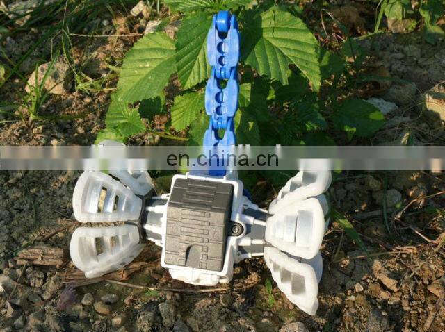 China Supplier Import China Products R/C TRANSFORMATION TOYS WATERMELON MONSTER RC Rally Monster Car 5888