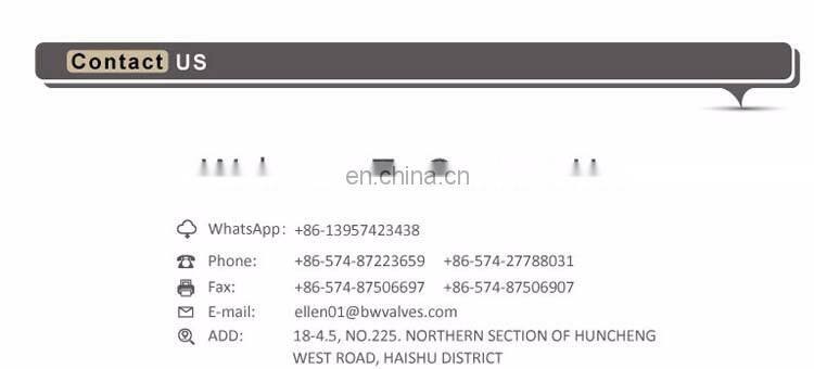 BWVA Good Reputation Factory most attractive safty valve