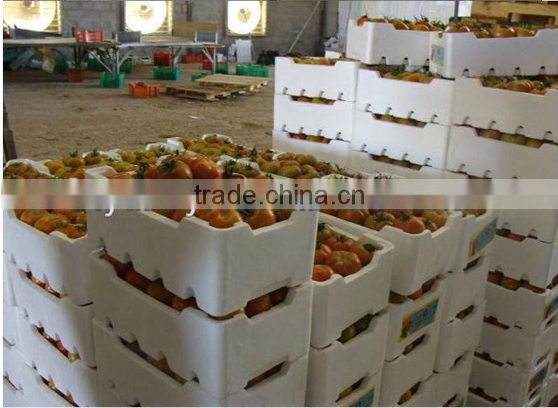 Automatic EPS Production Line with Best Quality