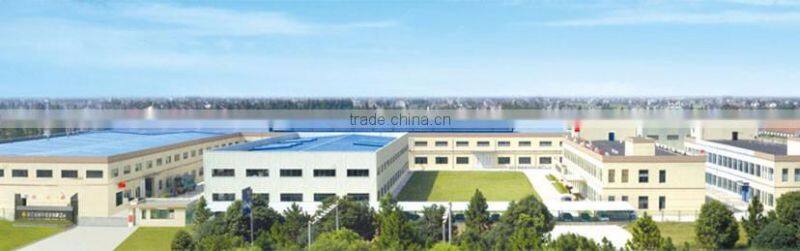 Different Pattern Aluminum Wooden Profiles for Decoration