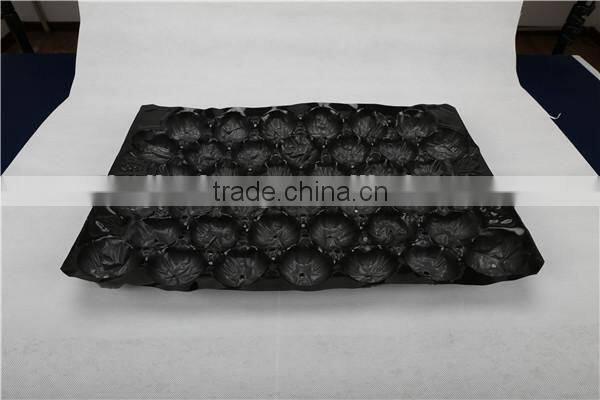 Perforated tomato plastic insert tray