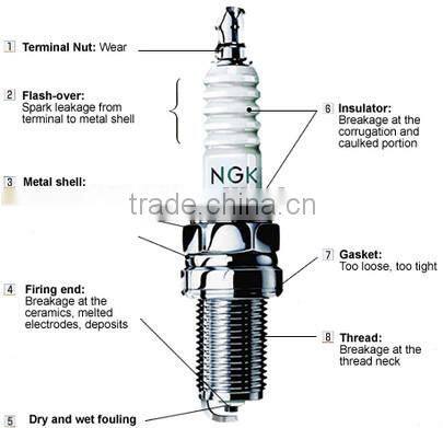 Professional decade plug cap NGK Spark Plug standard wholesale choice