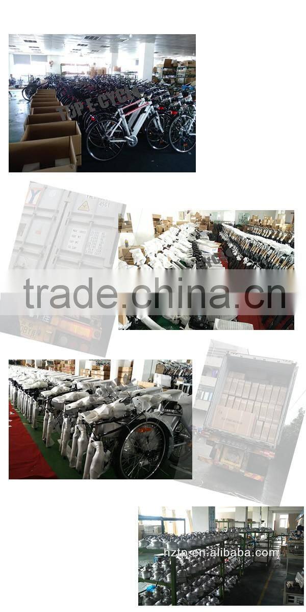 TOP/OEM rechargeable ebike battery 36v10ah lithium ion battery