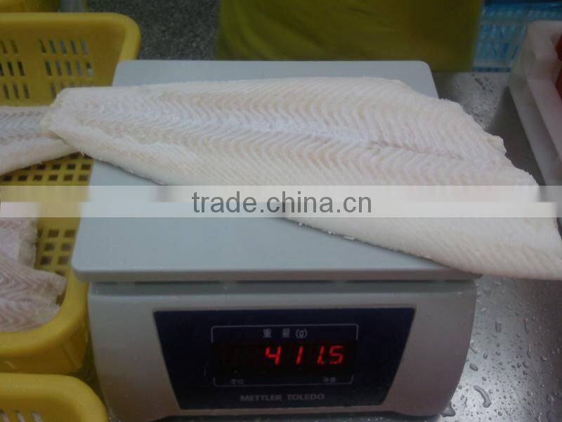 Frozen pacific halibut fillet