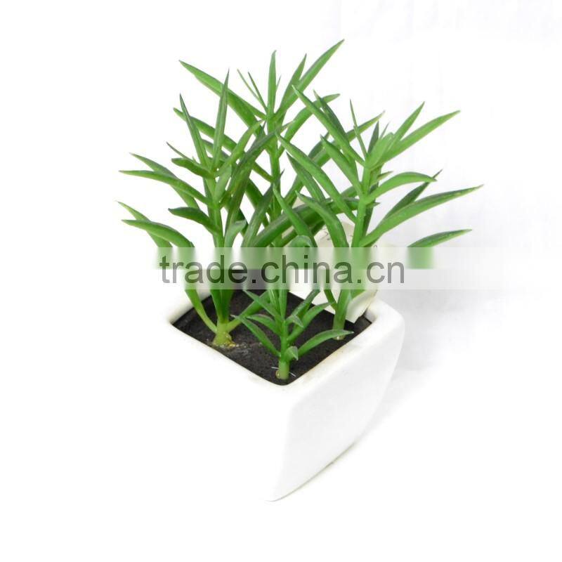 Vigorous Artificial Succulent Planted in Square Pot