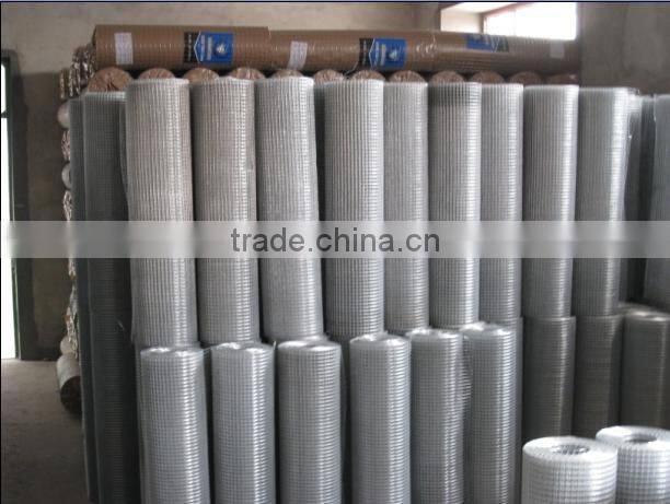 ISO 9001 Galvanized welded wire mesh price(Factory Sales)