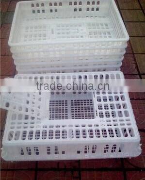 transport cage chicken