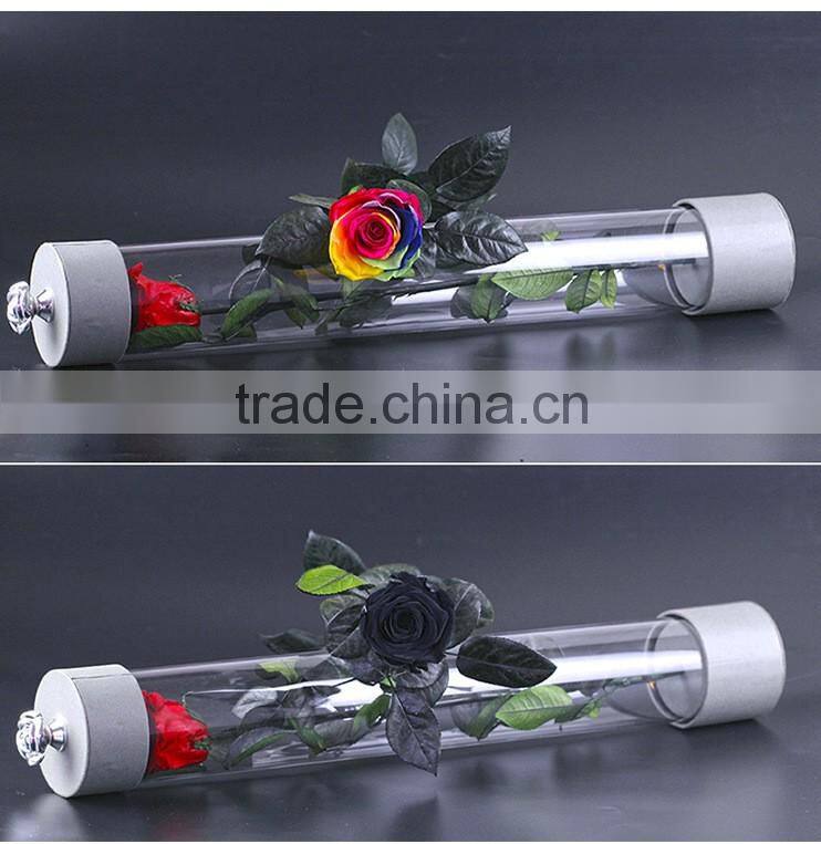 2016 Yiwu Aimee wholesale fresh colorful preserved flower(AM-PF08)