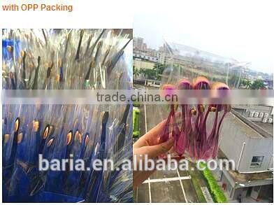 10pcs Toothbrush Make Up Brushes Kit Private Label Rose gold Foundation Powder Makeup Oval Cream Puff Brushes